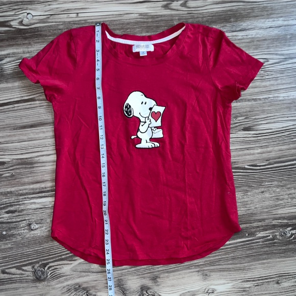 Peanuts Snoopy and Woodstock Valentines Day Pajama Set - Picture 8 of 14